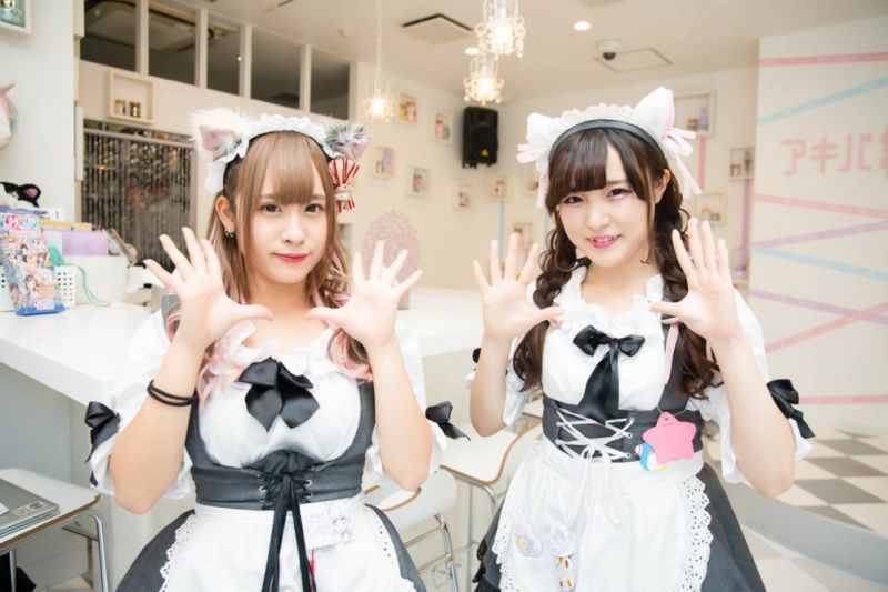 maid cafe maid cafe
